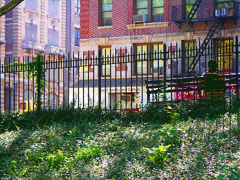 NY-Harlem-Ark_of_Safety_Fellowship_Church-05.JPG