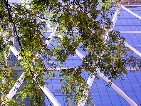 NY- Hearst_Corporation-300_W57th-03.JPG
