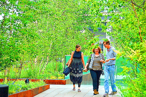 NY-High_Line_Park-Views-Meatpacking_Disttrict-Chelsea-05.JPG