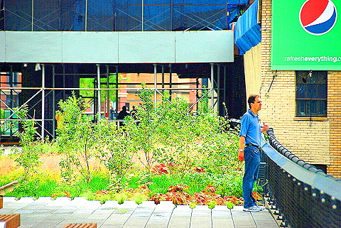 NY-High_Line_Park-Views-Meatpacking_Disttrict-Chelsea-12.JPG