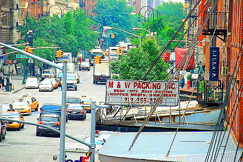 NY-High_Line_Park-Views-Meatpacking_Disttrict-Chelsea-26.JPG