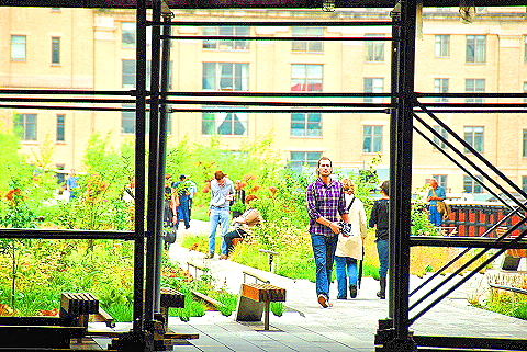 NY-High_Line_Park-Views-Meatpacking_Disttrict-Chelsea-27.JPG