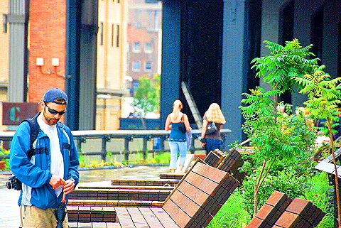 NY-High_Line_Park-Views-Meatpacking_Disttrict-Chelsea-29.JPG