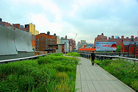 NY-High_Line_Park-Views-Meatpacking_Disttrict-Chelsea-51.JPG