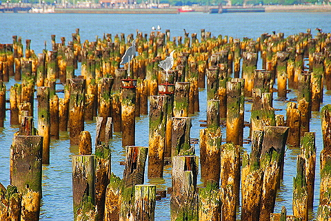 NY-Hudson_River_Park-Art_Sculptures_and_River_Views-21.JPG