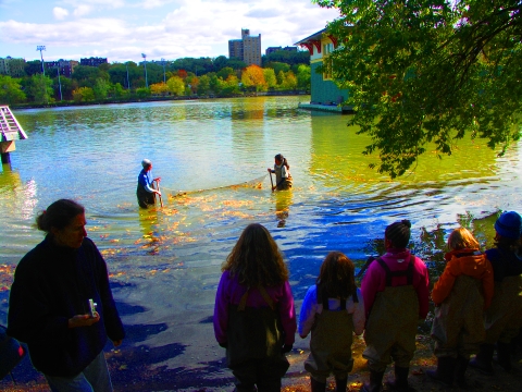 NY-Inwood-Seining_on_the_Harlem_River-Swindler_Cove_Park-05.jpg