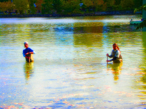 NY-Inwood-Seining_on_the_Harlem_River-Swindler_Cove_Park-06.jpg