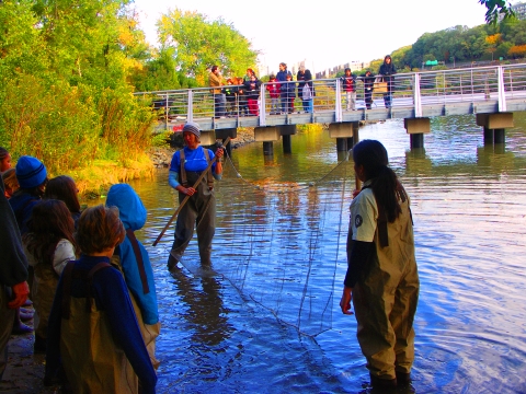 NY-Inwood-Seining_on_the_Harlem_River-Swindler_Cove_Park-07.jpg
