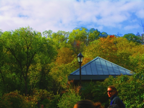 NY-Inwood-Seining_on_the_Harlem_River-Swindler_Cove_Park-09.jpg