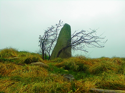 NY-Irish_Famine_Memorial-Battery_Park-02.JPG