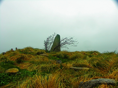 NY-Irish_Famine_Memorial-Battery_Park-03.JPG