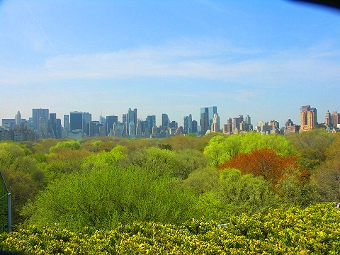 NY-Jeff_Koons_on_the_Roof-Metropolitan_Museum_of_Art-01.JPG