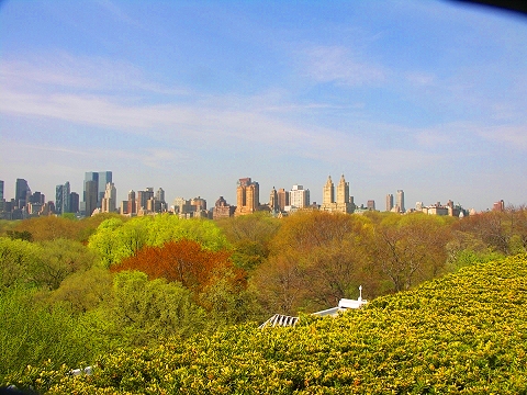 NY-Jeff_Koons_on_the_Roof-Metropolitan_Museum_of_Art-02.JPG