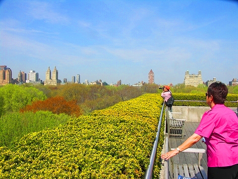 NY-Jeff_Koons_on_the_Roof-Metropolitan_Museum_of_Art-06.JPG