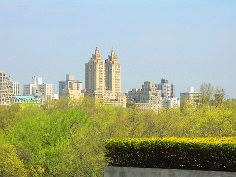 NY-Jeff_Koons_on_the_Roof-Metropolitan_Museum_of_Art-08.JPG