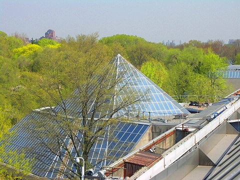 NY-Jeff_Koons_on_the_Roof-Metropolitan_Museum_of_Art-12.JPG