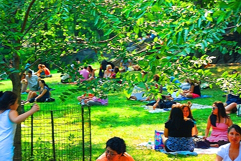 NY-Lining _up_for_Bon_Jovi_Concert-Central_Park-07.JPG