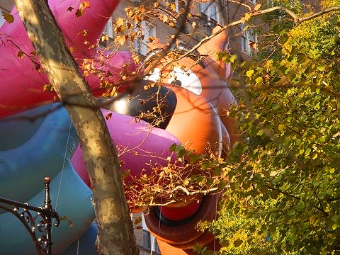 NY-Macys_Thanksgiving_Day_Parade-2007-38.JPG