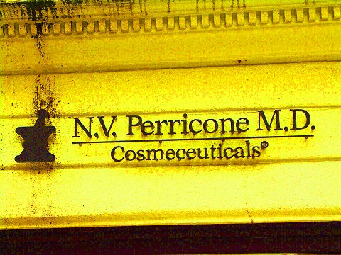 NY-Madison_Avenue-Upper_Eastside-Christmas_Windows-N_V_Perricone-Cosmeceuticals-01.jpg