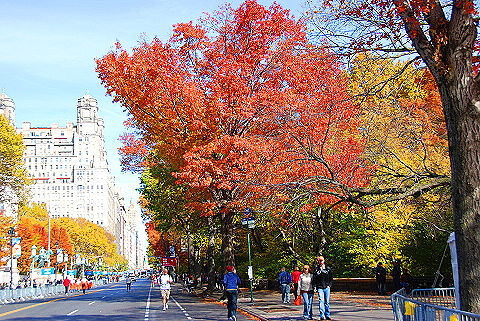 NY-Marathon_Finishers_Area-Cenral_Park_West-2008-14.JPG