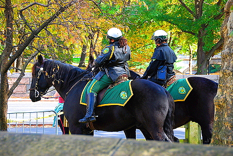 NY-Marathon_Finishers_Area-Cenral_Park_West-2008-20.JPG