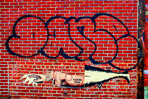 NY-MeatPacking_District-Graffiti-Street_Art-Shark_Toof-03.JPG
