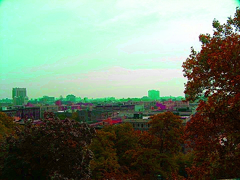 NY-Morningside_Park07.jpg