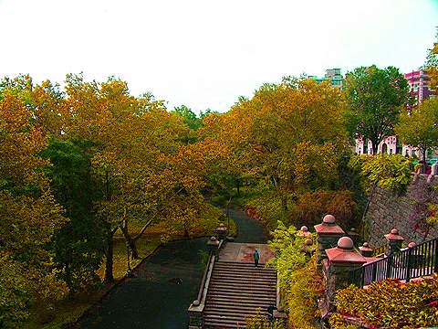 NY-Morningside_Park08.jpg