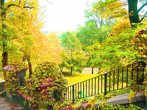 NY-Morningside_Park10.jpg