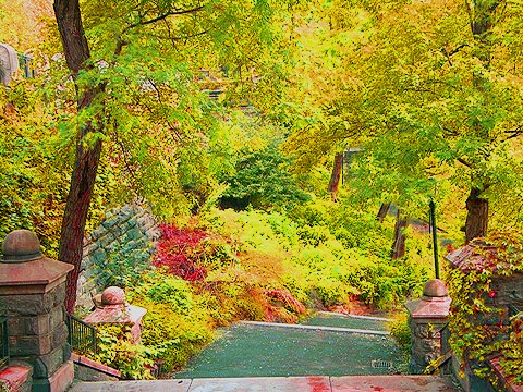 NY-Morningside_Park11.jpg
