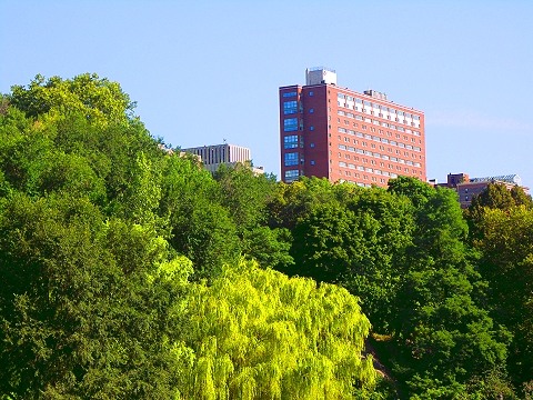 NY-Morningside_Park-05.JPG