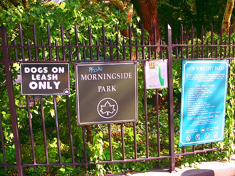 NY-Morningside_Park-06.JPG