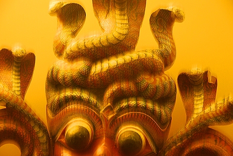 NY-Museum_of_Natural_History-Asian_Peoples_Exhibit-07.JPG