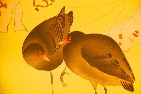 NY-Museum_of_Natural_History-Asian_Peoples_Exhibit-10.JPG
