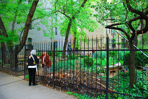 NY-Naked_Man_in_the_Park-(6).JPG