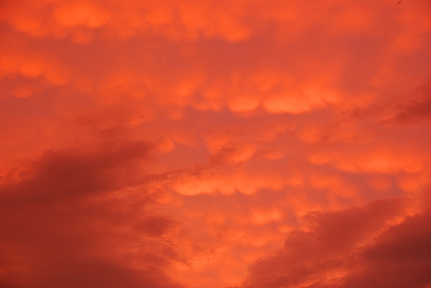 NY-NY-Red_Clouds_Over_Westside_Highway_at_Trump_Place-12.JPG