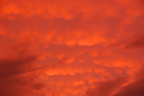 NY-NY-Red_Clouds_Over_Westside_Highway_at_Trump_Place-13.JPG