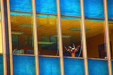 NY-Office_Windows-Eastside-05.JPG