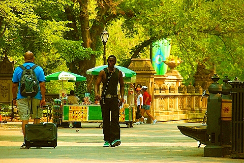 NY-People_in_Central_Park_on_a_Saturday_Morning-Summer-2008-02.JPG