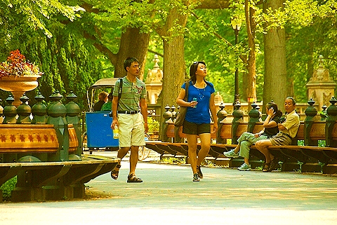 NY-People_in_Central_Park_on_a_Saturday_Morning-Summer-2008-04.JPG