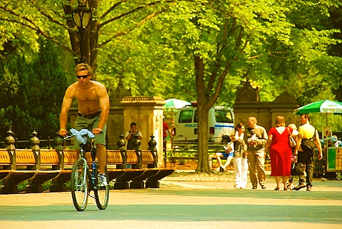 NY-People_in_Central_Park_on_a_Saturday_Morning-Summer-2008-06.JPG