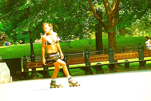 NY-People_in_Central_Park_on_a_Saturday_Morning-Summer-2008-20.JPG