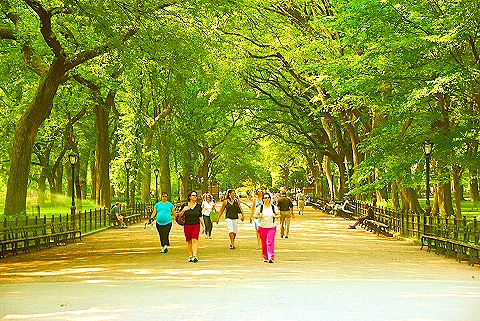 NY-People_in_Central_Park_on_a_Saturday_Morning-Summer-2008-28.JPG