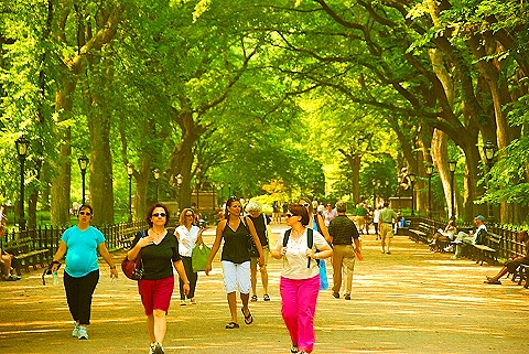 NY-People_in_Central_Park_on_a_Saturday_Morning-Summer-2008-29.JPG
