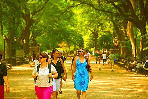 NY-People_in_Central_Park_on_a_Saturday_Morning-Summer-2008-31.JPG