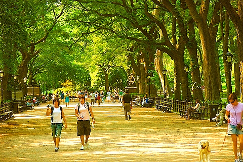 NY-People_in_Central_Park_on_a_Saturday_Morning-Summer-2008-34.JPG