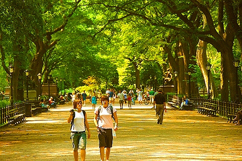NY-People_in_Central_Park_on_a_Saturday_Morning-Summer-2008-35.JPG