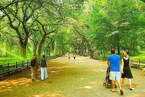 NY-People_in_Central_Park_on_a_Saturday_Morning-Summer-2008-40.JPG