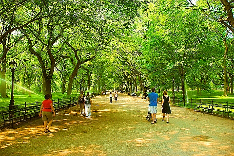 NY-People_in_Central_Park_on_a_Saturday_Morning-Summer-2008-41.JPG