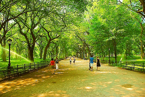NY-People_in_Central_Park_on_a_Saturday_Morning-Summer-2008-42.JPG